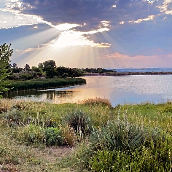 Meet your Posher, Kaytie - Picture 1 of 1